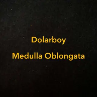 Dolarboy Totheworld
