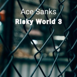 Risky World 3