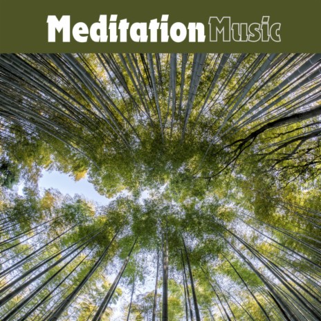 Meditative Waves ft. Meditation Music Tracks, Meditation & Balanced Mindful Meditations | Boomplay Music