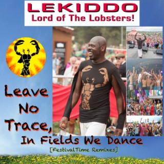 Leave No Trace, In Fields We Dance (Radio Edit) lyrics | Boomplay Music