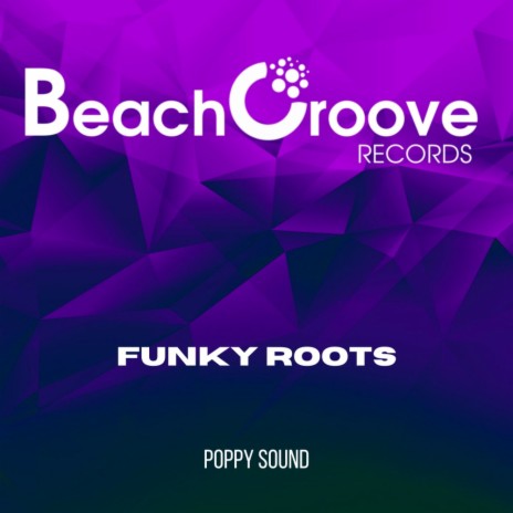 Funky Roots (Original Mix) | Boomplay Music