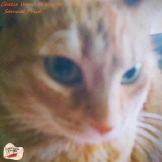 Cheese Wants To Say Hi (Outtakes and Scrapped Tracks)