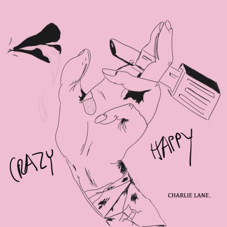 Crazy Happy | Boomplay Music