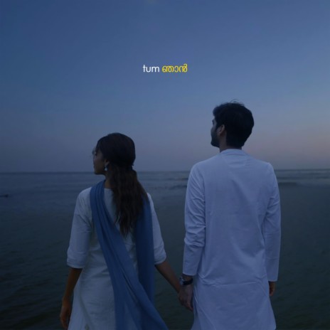 tum/njan (lofi flip) ft. VIBIE, Anurag Mishra & Pavitra Krishnan