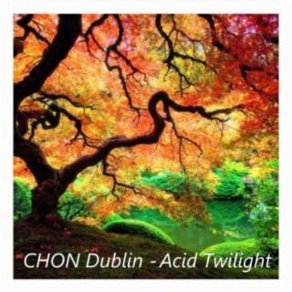 Acid Twilight