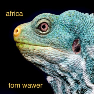 tom wawer