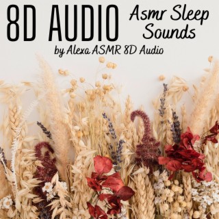 8D Audio - Asmr Sleep Sounds
