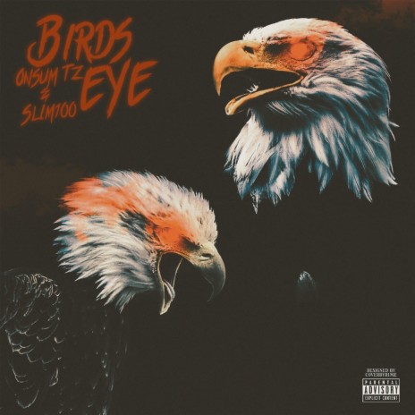 Birds Eye ft. Slim100