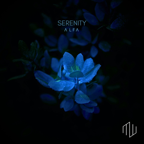 Serenity | Boomplay Music