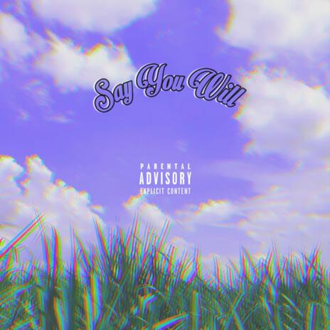 Say You Will | Boomplay Music