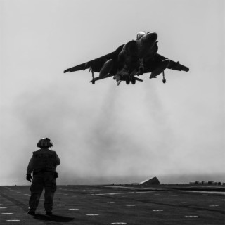 Harrier