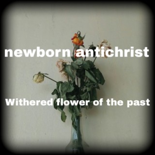 newborn antichrist