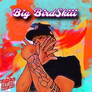 Big BirdSkiii