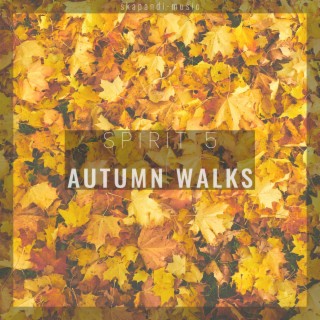 Autumn Walks