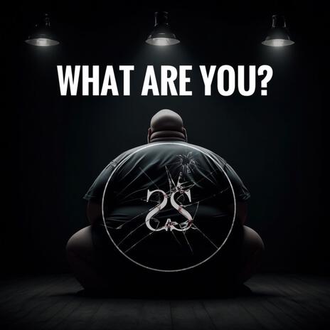 What Are You? | Boomplay Music