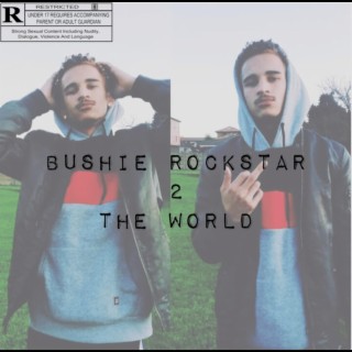 Bushie Rockstar 2 The World