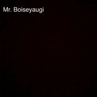 Mr. Boiseyaugi