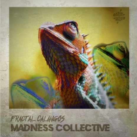 Madness Collective | Boomplay Music
