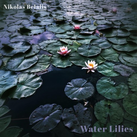 Water Lilies (Crystal Waters Version)