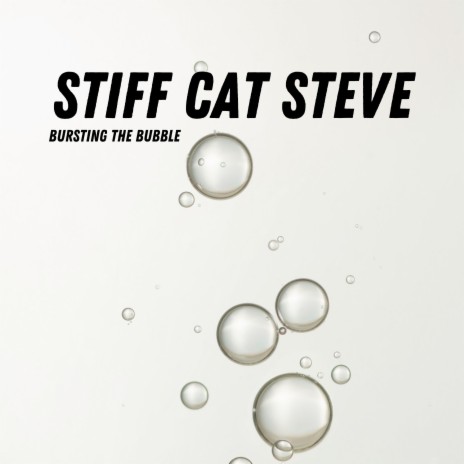 Stiffer Than A Stiff Cat | Boomplay Music