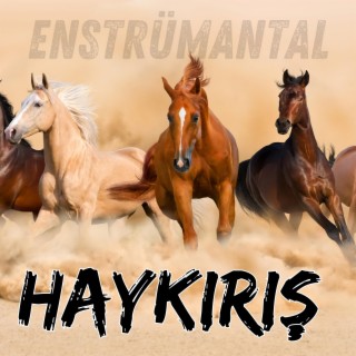 Haykırış (Akustik Sokak)