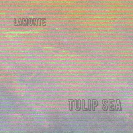 Tulip Sea | Boomplay Music