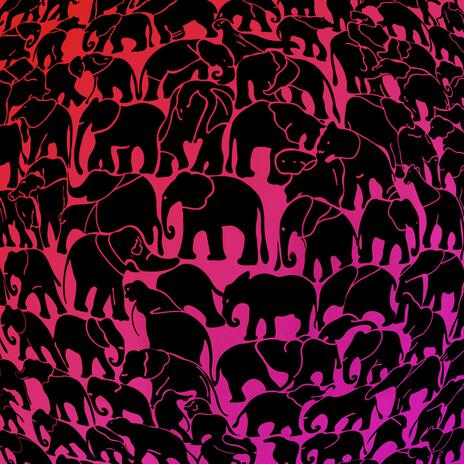 Elefantes | Boomplay Music