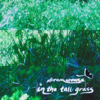 In The Tall Grass