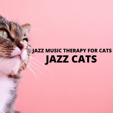 Calming Kitty Cat Jazz