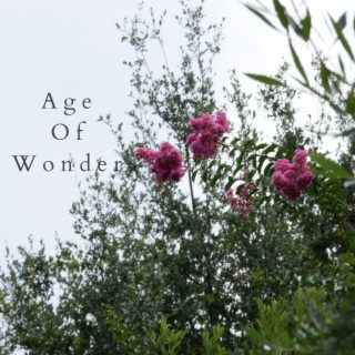 Age of Wonder