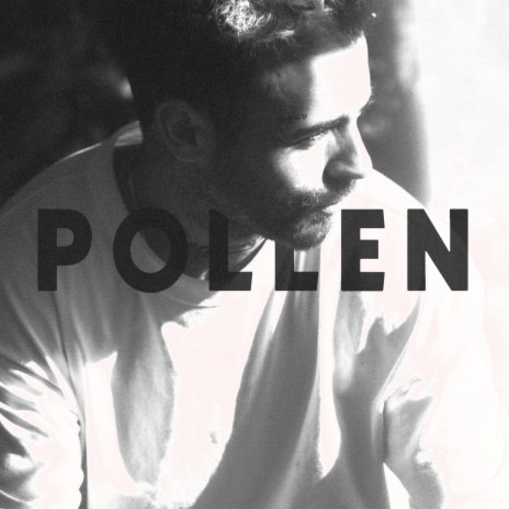 pollen | Boomplay Music