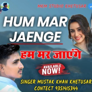 Ham Mar Jaenge