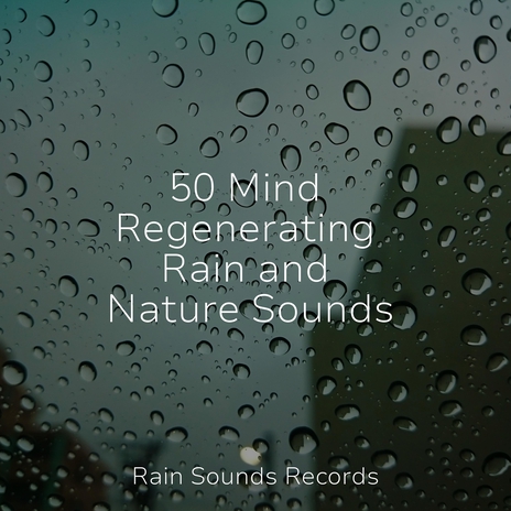 Shimmering Shorescape ft. Rain Sound Studio & Rest & Relax Nature Sounds Artists | Boomplay Music