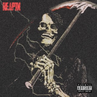 REAPIN' lyrics | Boomplay Music