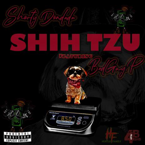 Shih Tzu ft. BadGuy P | Boomplay Music