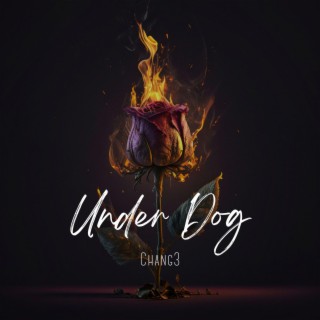 Under Dog ft. D.brown lyrics | Boomplay Music