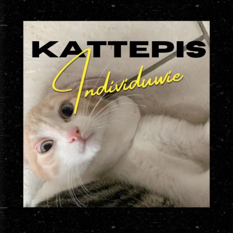 Kattepis