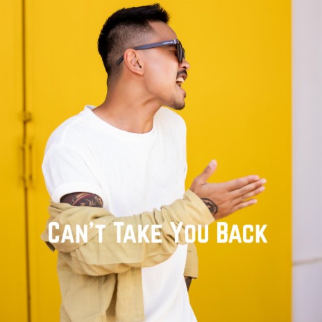 Can't Take You Back | Boomplay Music