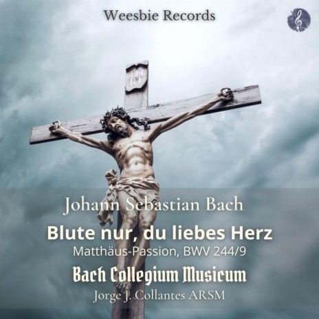 St. Matthew Passion, BWV 244/9: Blute nur, du liebes Herz! ft. Bach Collegium Musicum