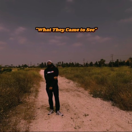 What They Came To See | Boomplay Music