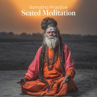 Samatha Practice: Seated Meditation, Breath Counting, Inner Dialogue (Koan), Understanding and Vision