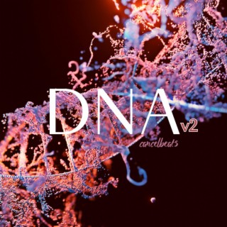 DNA v2