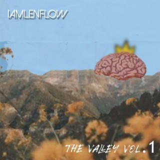 THE VALLEY, Vol. 1
