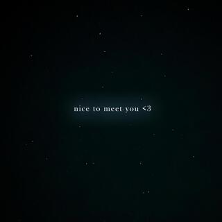 nice to meet you