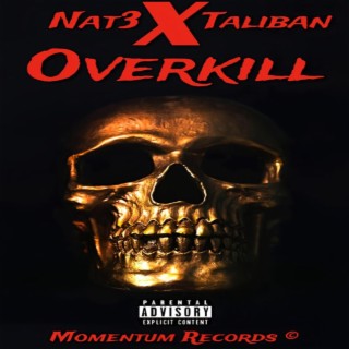 overkill (Ridin Clean remix)