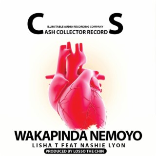 Wakapinda nemoyo ft. Nashie Lyon lyrics | Boomplay Music