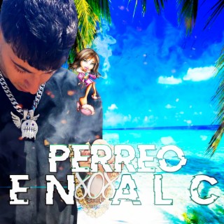 INTRO PERREO ALC lyrics | Boomplay Music