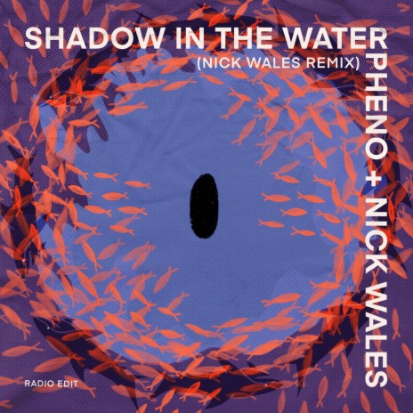 Shadow in the Water (Nick Wales Remix - Radio edit) ft. Nick Wales | Boomplay Music