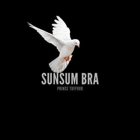 Sunsum Bra | Boomplay Music