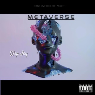 Metaverse